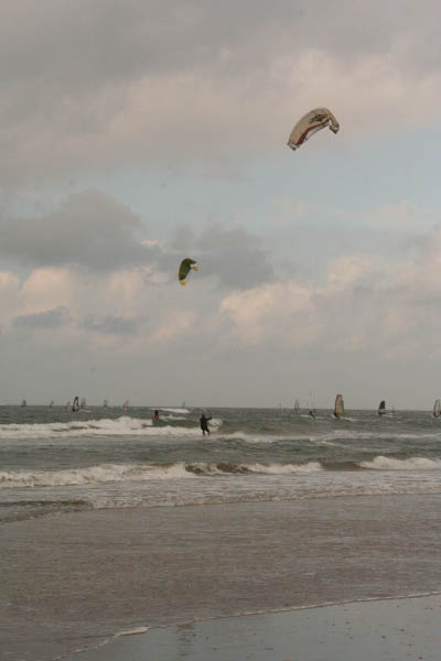 IMG_3350