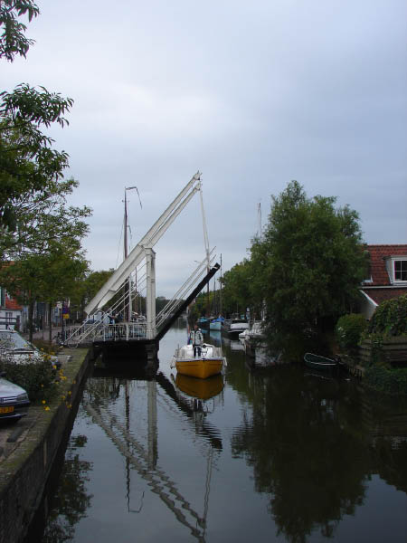 DSC04306