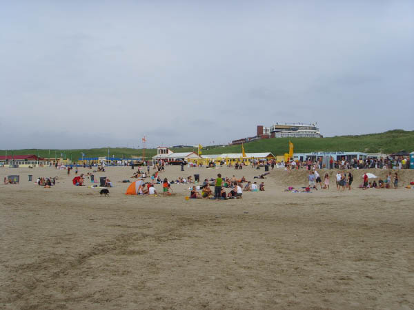 SSL24865
