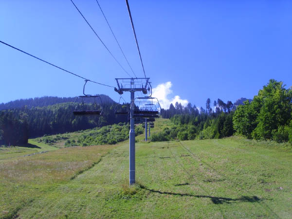 SSL21337