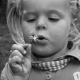 britt07_zw