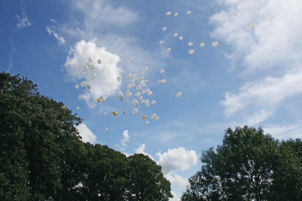 266_ballonnen