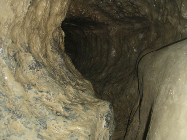 P8230723