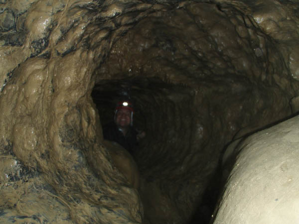 P8230724