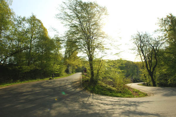 sportograf-16532579